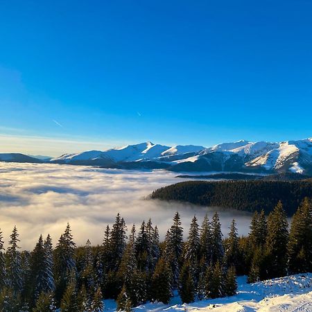 Pensiunea Zimbru Ranca Exteriör bild